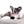Marly Blue Merle LC Teacup Boy