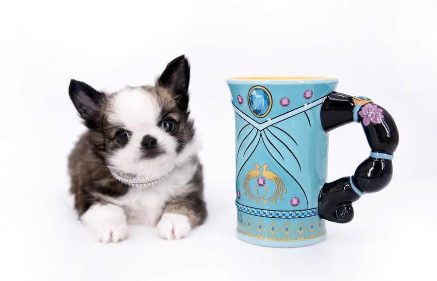 Starbucks SC white sable Micro Boy