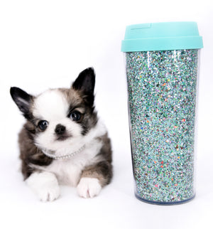 Starbucks SC white sable Micro Boy