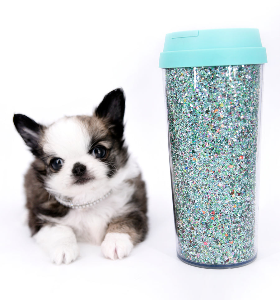 Starbucks SC white sable Micro Boy