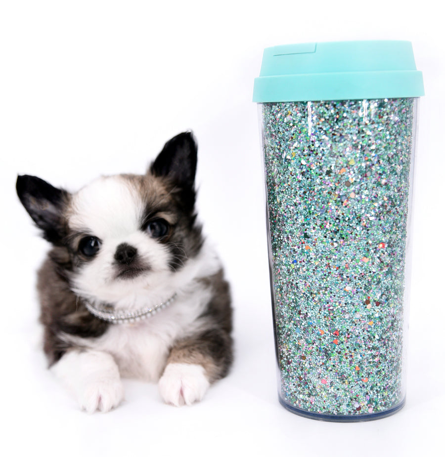 Starbucks SC white sable Micro Boy