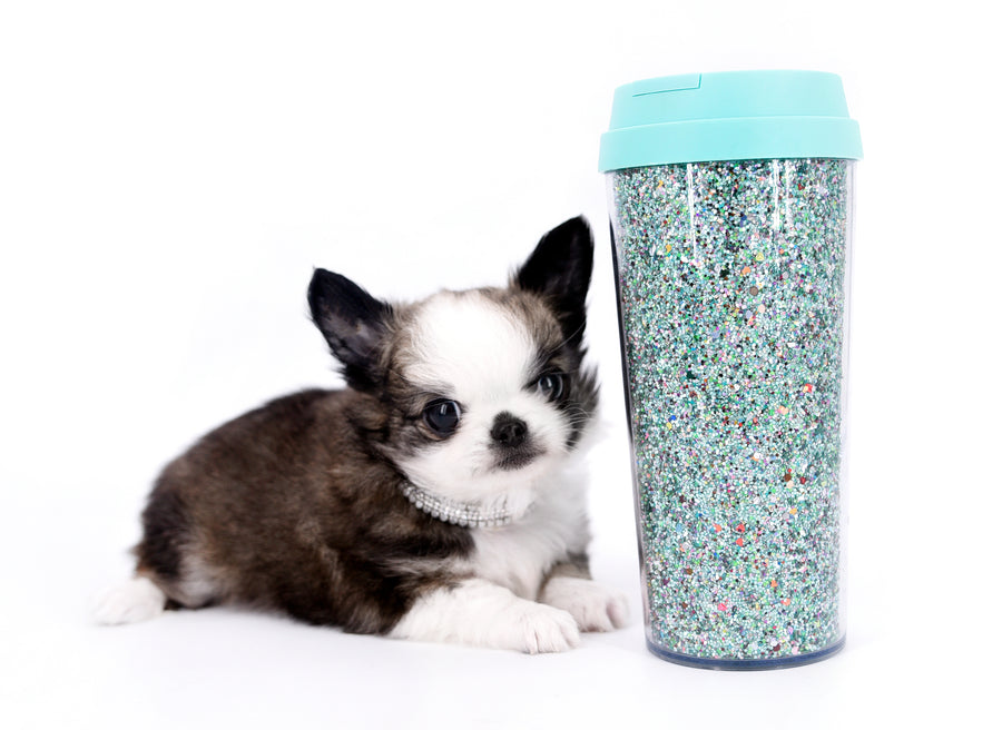 Starbucks SC white sable Micro Boy