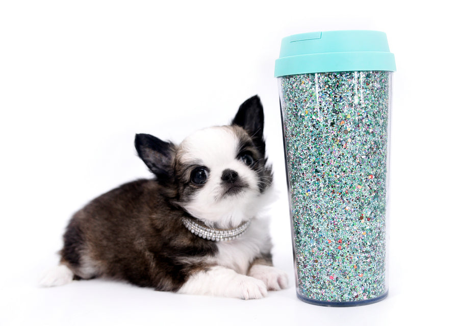 Starbucks SC white sable Micro Boy
