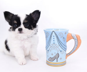 Latte SC Extreme Short Muzzle LC Boy