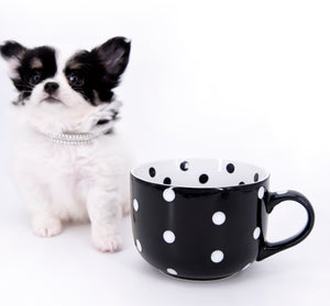 Latte SC Extreme Short Muzzle LC Boy