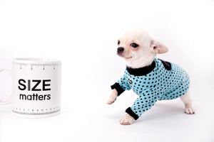 Hermes Birkin Teacup Boy