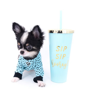 Smore Boy Just perfection