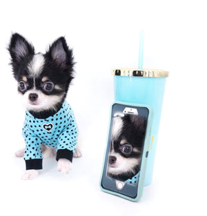 Smore Boy Just perfection