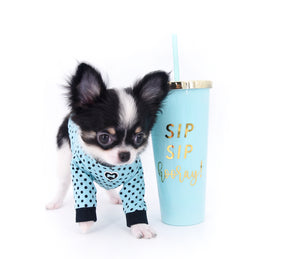 Smore Boy Just perfection