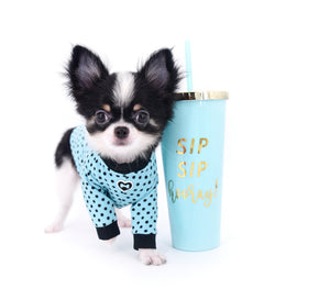 Smore Boy Just perfection