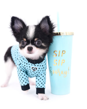 Smore Boy Just perfection