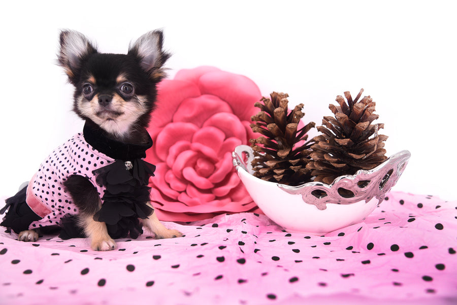 Jayne Micro Teacup Doll Face