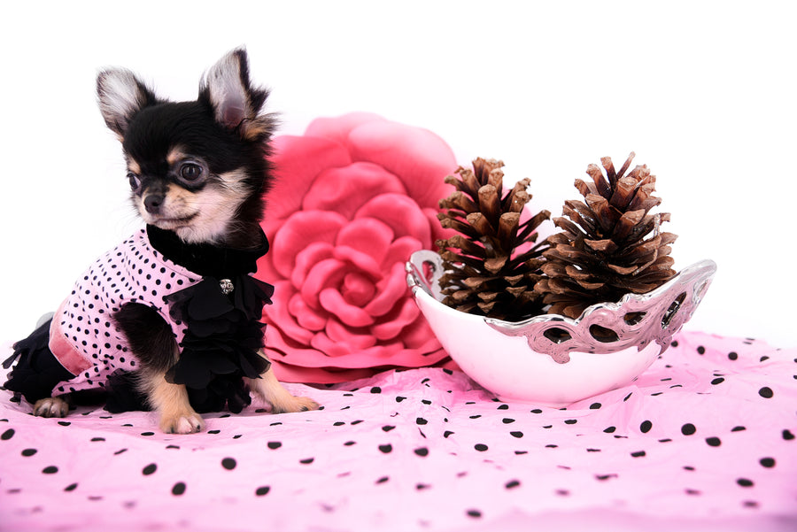 Jayne Micro Teacup Doll Face
