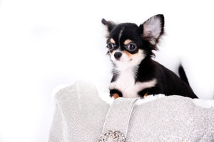 Hermes Birkin Micro LC Teacup Tricolor Boy