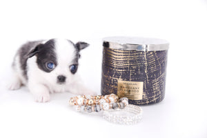 Chanel Micro Teacup Lavender