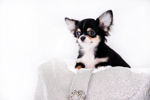 Hermes Birkin Micro LC Teacup Tricolor Boy