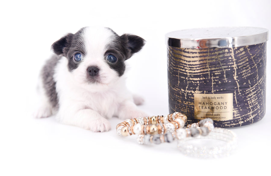 Chanel Micro Teacup Lavender