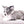 Marly Blue Merle LC Teacup Boy