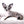 Marly Blue Merle LC Teacup Boy