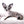 Marly Blue Merle LC Teacup Boy