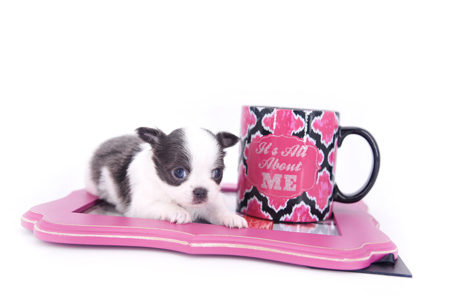 Chanel Micro Teacup Lavender
