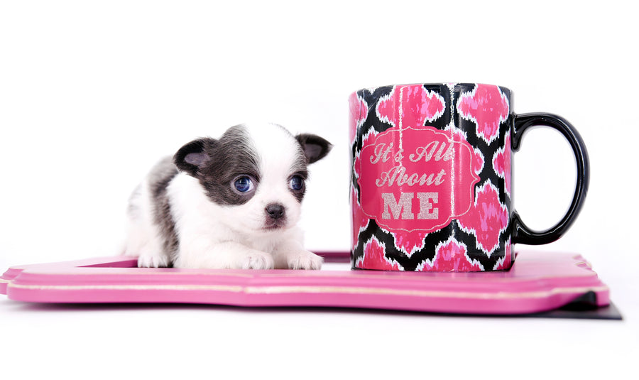 Chanel Micro Teacup Lavender