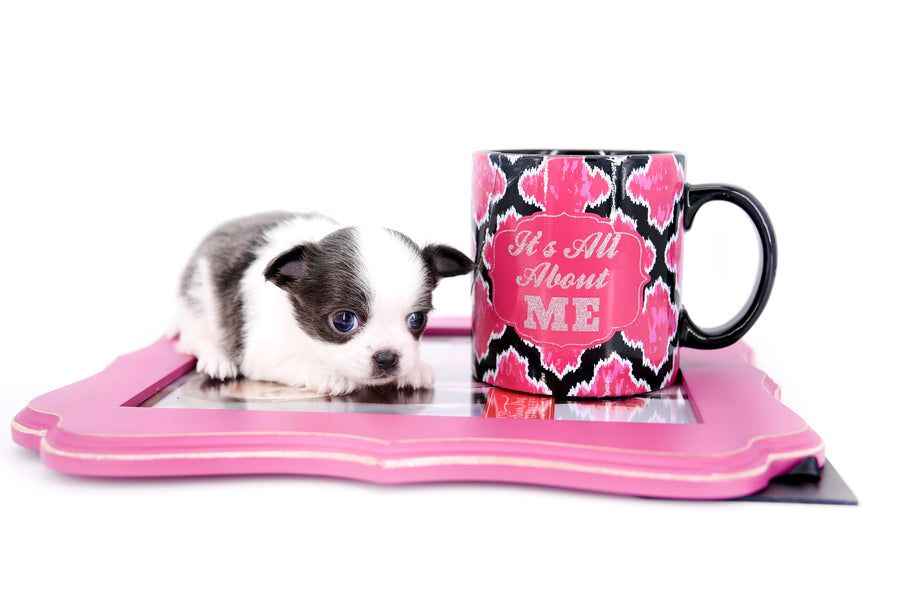 Chanel Micro Teacup Lavender