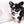 Diva Micro LC Girl