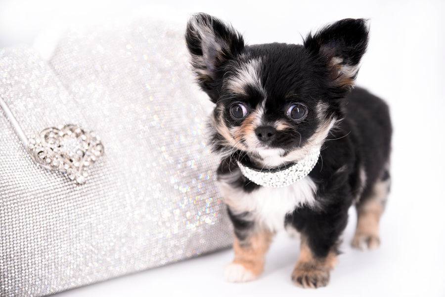 Diva Micro LC Girl