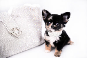 Diva Micro LC Girl