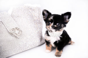 Diva Micro LC Girl