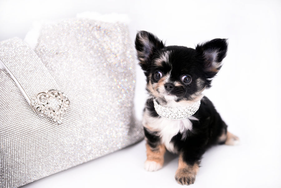 Diva Micro LC Girl