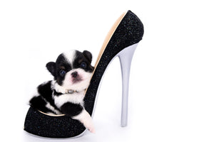 Smore Boy Just perfection