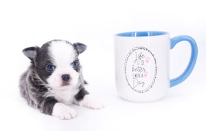 Rome Blue Lavender Blue Eyes Micro