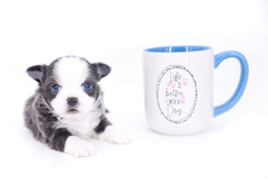 Rome Blue Lavender Blue Eyes Micro