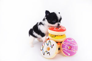 Smore Boy Just perfection