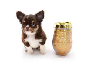 VIP Puppy Consultation