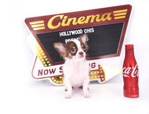 Romeo Tiny Micro Boy