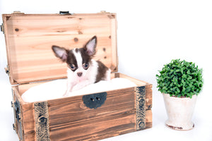 Romeo Tiny Micro Boy