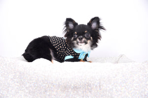 Birkin Doll  Extreme Short Muzzle Boy