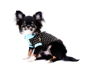 Birkin Doll  Extreme Short Muzzle Boy