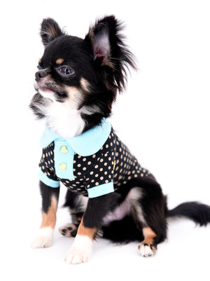 Birkin Doll  Extreme Short Muzzle Boy