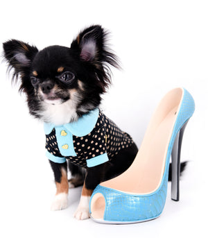 Birkin Doll  Extreme Short Muzzle Boy