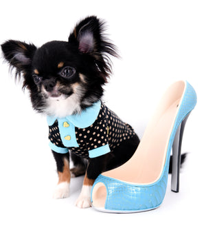 Birkin Doll  Extreme Short Muzzle Boy