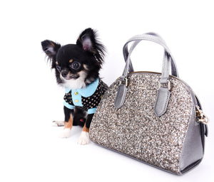 Birkin Doll  Extreme Short Muzzle Boy