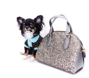 Birkin Doll  Extreme Short Muzzle Boy