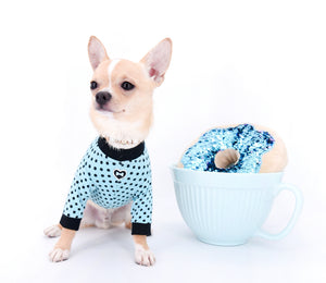 Liam Marcus Teacup Short Muzzle SC Boy