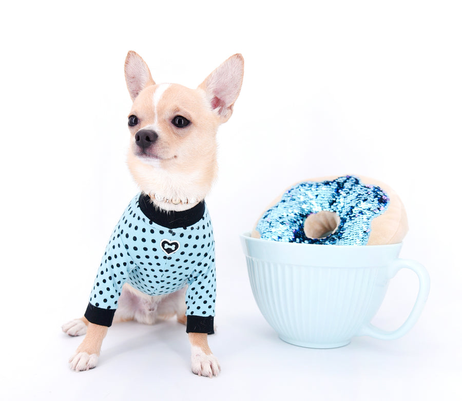 Liam Marcus Teacup Short Muzzle SC Boy