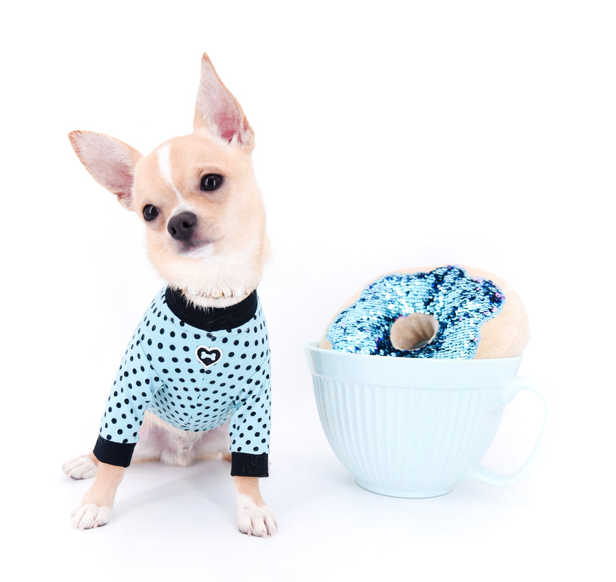 Liam Marcus Teacup Short Muzzle SC Boy