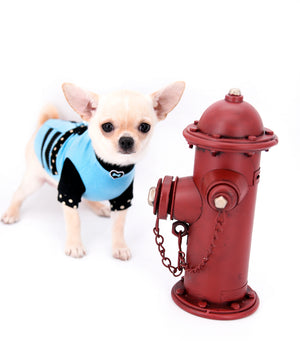 Hermes Birkin Teacup Boy